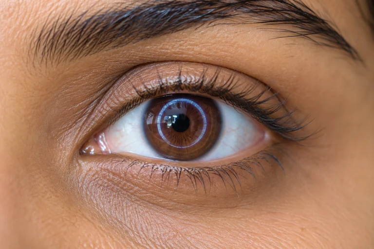 A natural eye close-up with an examination-light reflection on the cornea